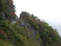 見学風景