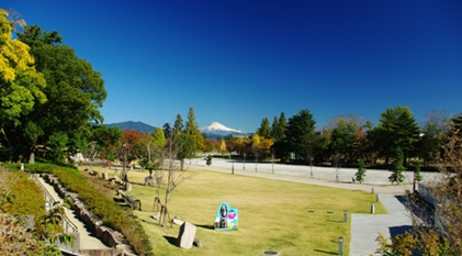 富士見芝生広場