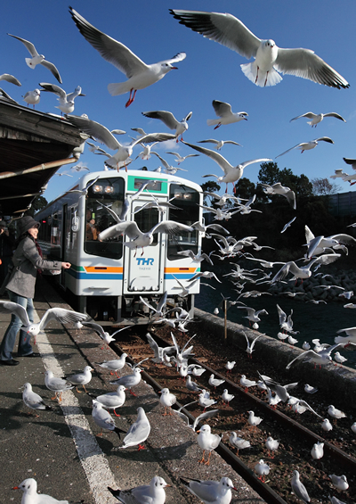 春光の熱海