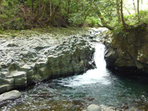 高さ2m 高さ1m 長さ15m