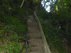 えび滝から釜滝へ向かう急こう配の階段