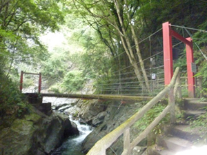 釜滝から河津踊子滝見橋へ<br>向かうつり橋