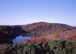 No.241 秋号（平成22年10月）